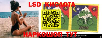 прущие крисы Камышлов