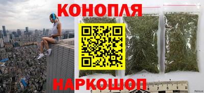 прущие крисы Камышлов