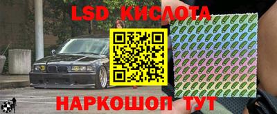 прущие крисы Камышлов