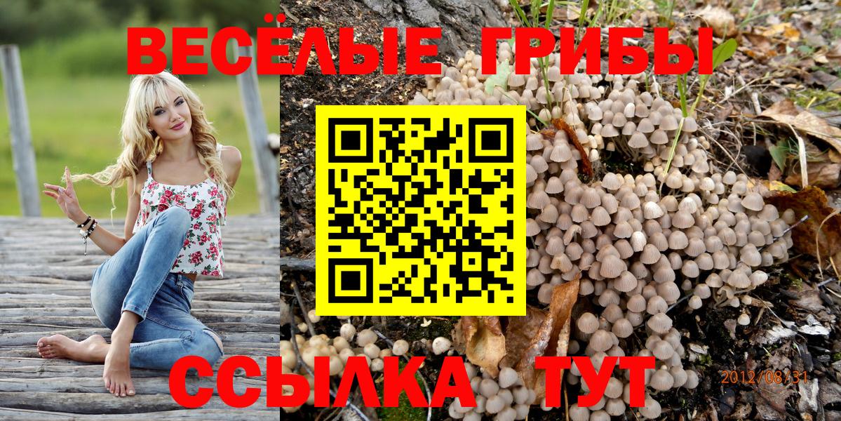 Псилоцибиновые грибы мухоморы Кохма