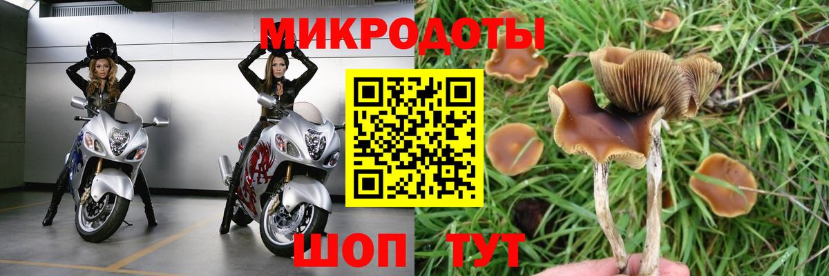 Галлюциногенные грибы MAGIC MUSHROOMS  Вход с VPN  Кохма  Галлюциногенные грибы Cubensis 